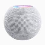 Smart Home Speaker